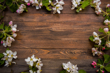 Blossoming apple tree on a wooden background, Black  template