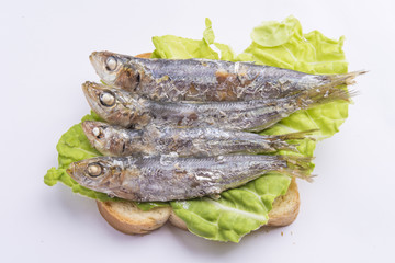 fried sardines on the plate