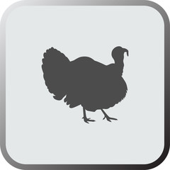 Graphical flat icon, button of turkey. Vector.