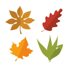 green leafs isolated design 