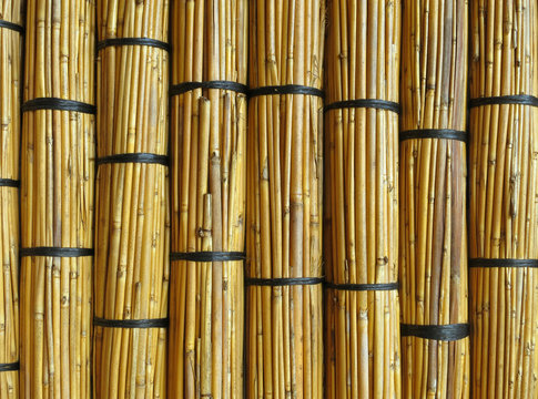 Wall of reed mats. Detail of a traditional building in Barra. Inhambane, Mozambique, Southern Africa