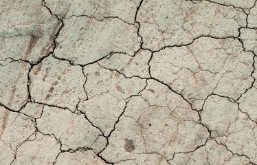 drought