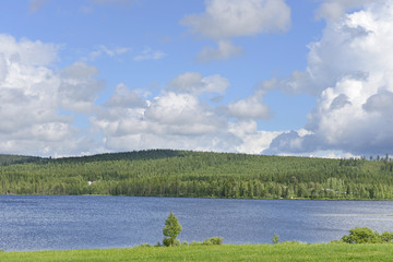 Northern landscape. Lapland