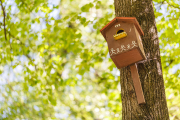 Bluebird nesting box