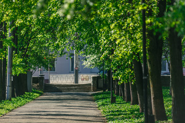 public park in sunny day, walkway for exercise lined