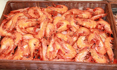 crevettes roses