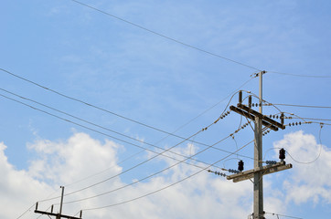 Electric pole