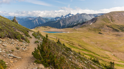 Beautiful valley on a background of snowy mountains.  MOUNT FREMONT LOOKOUT TRAIL, Sunrise Area, Mount Rainier