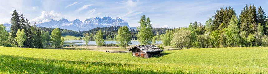 Selbstklebende Fototapete Sommer Landschaft - Panorama mit Wiese und Berge im Hintergrund