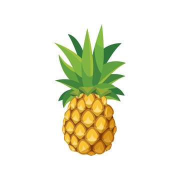 Pineapple icon in cartoon style
