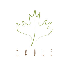 maple leaf abstract outline vector design template