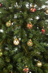 close-up part of christmas tree