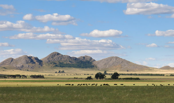 Pampas in Argentina