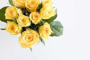 High angle view of yellow roses and green leaves against white background