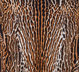 leopard fur