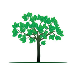 Fototapeta premium Green Tree. Vector Illustration.