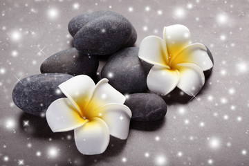 Spa stones and flowers on grey background with snow effect