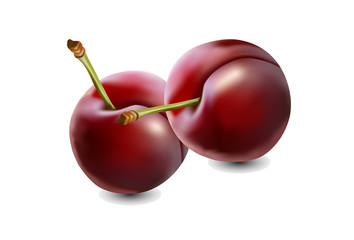 Plums with stem  with shadow on white background