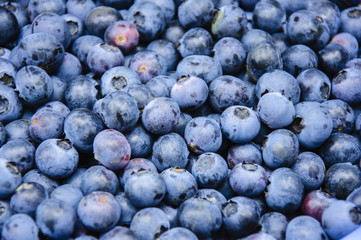 The blueberry fruits and background
