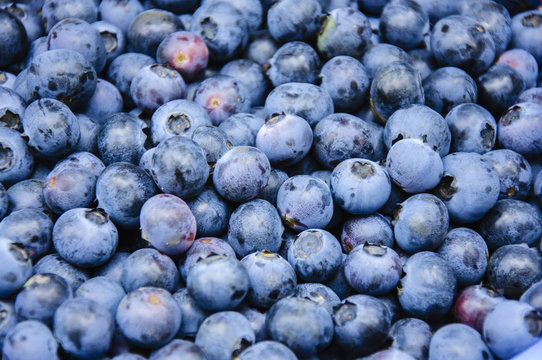The blueberry fruits and background
