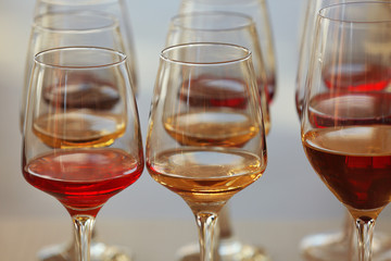 Many glasses of different wine in a row on a table