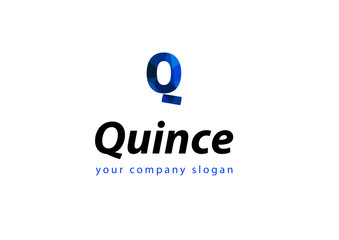 letter Q logo Template for your company