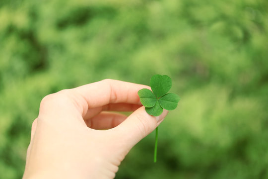 Female hand holding clover leaf on meadow background