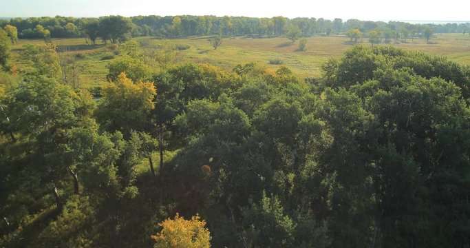 Panoramic Autumn landscape. The picturesque landscape with river, trees and field.