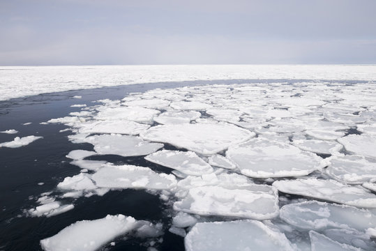 Traces In Ice Sheet