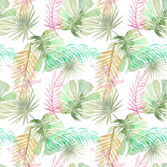 tropical palm leaves