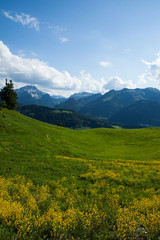 green, landschaft, hills, sommer, natur, gipfel, cloud, wiese, Bregenzerwald, 