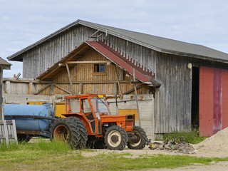 Obraz premium Reindeer on a pile of sand near the old tractor