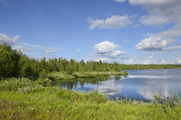 Summer landscape with a lake and swamp. Northern Finland, Lapland