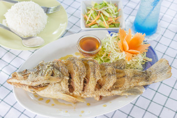 Deep Snapper fish Fried with fish sauce the delicious favorite menu Thai sea food.