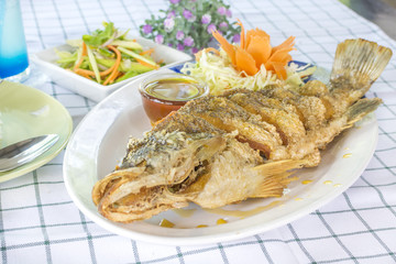 Deep Snapper fish Fried with fish sauce the delicious favorite menu Thai sea food.