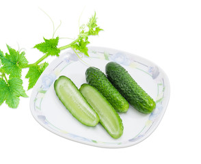 Several cucumbers on a dish and branch of cucumber