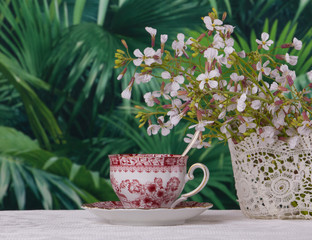 Coffee break in exotic garden