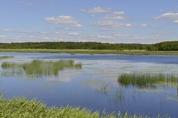 Fototapeta na wymiar Water landscape
