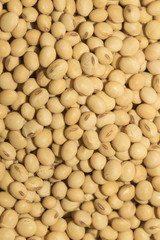 Soy bean pattern as background