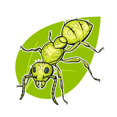 Vector colorful hand drawn illustration of ant.