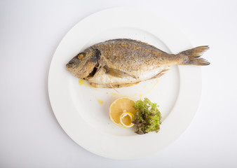 Grilled whole dorado fish