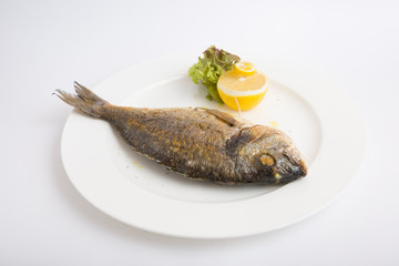 Grilled whole dorado fish