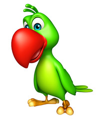 funny  Parrot cartoon character