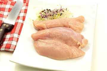 filets de poulet 20052016