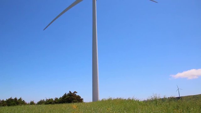 Wind generator in a field of grass