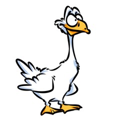 Funny goose cartoon illustration isolated image