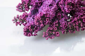 Bouquet of purple lilac on glass table