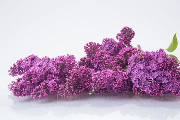 Bouquet of purple lilac on glass table