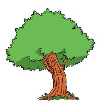 Tree oak illustration cartoon image