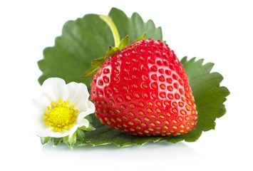 Macro whole strawberry with leaf and flower isolated on white